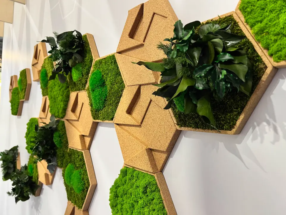 Cork and moss hexagones on wall