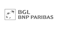 Logo BGL BNP paribas couleur gris